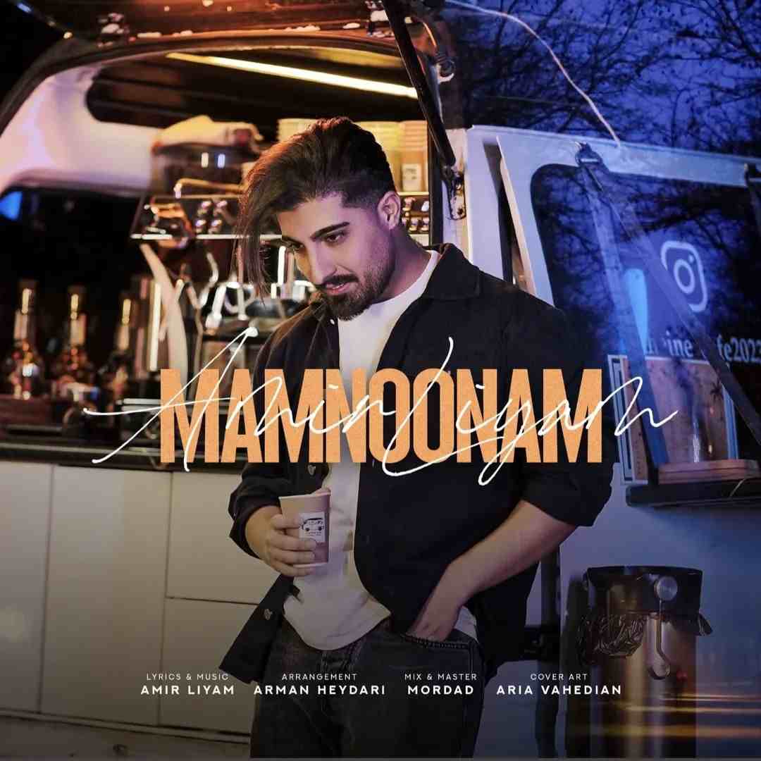 آهنگ جدید امیر لیام ممنونم